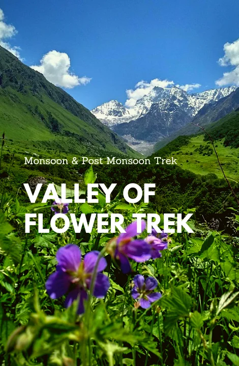 velly-of -flower-trek-home-page